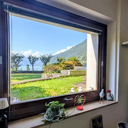 A Window On The Διαμέρισμα *